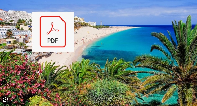 Case Study: Small Business in Canary Islands Adopts ChimpKey for EDI Compliance